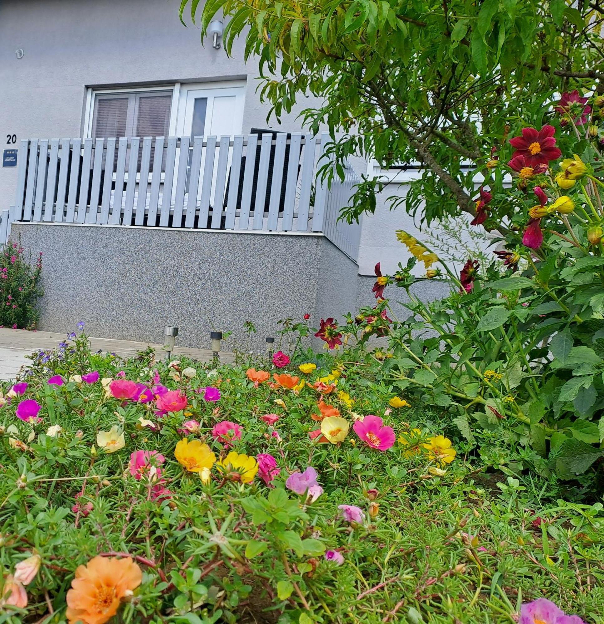 Studio Apartman Draga Velika Ludina Екстер'єр фото